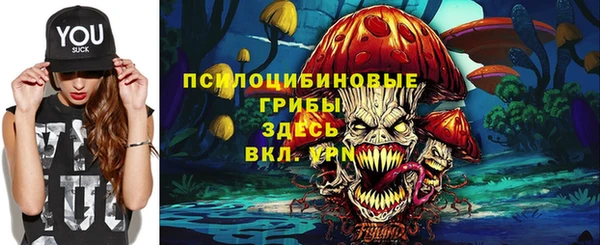 стафф Баксан