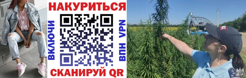 Конопля Amnesia  где можно купить наркотик  Ступино 